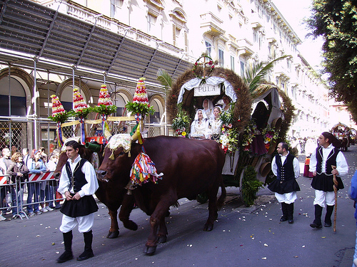 Foto 6